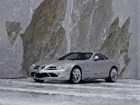 SLR Barbie SLR Barbie