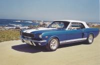Mustang 350 GT Mustang 350 GT