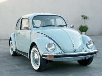 Beetle Last Edition Beetle Last Edition