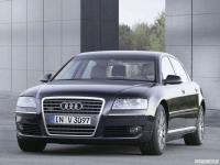 quattro quattro