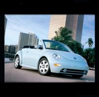 New Beetle new beetle New Beetle new beetle