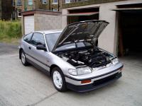crx crx