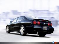 Impala Impala