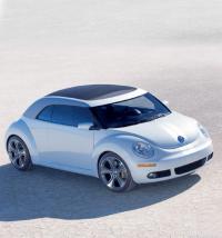 New Beetle New Beetle