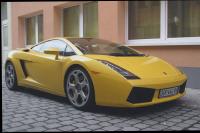Gallardo Gallardo