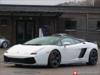 Gallardo Gallardo