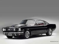 mustang cammer 5L V8 mustang cammer 5L V8