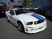 Mustang Mustang