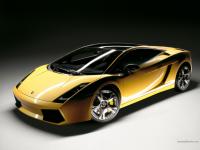 gallardo gallardo