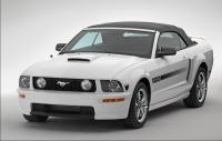 Mustang Mustang