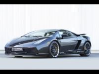 Gallardo Gallardo