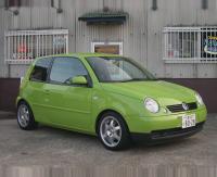 Lupo Lupo