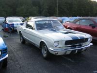 shelby gt350 shelby gt350