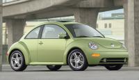 Beetle Beetle