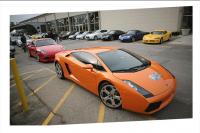 gallardo gallardo