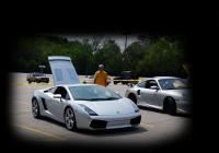 Gallardo Gallardo
