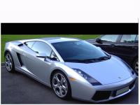 Gallardo Gallardo