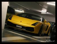 Gallardo Gallardo