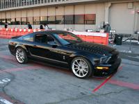 shelby mustang shelby mustang