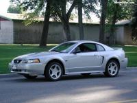 Mustang Mustang