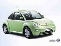 New Beetle New Beetle
